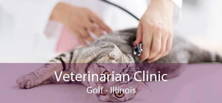 Veterinarian Clinic Golf - Illinois