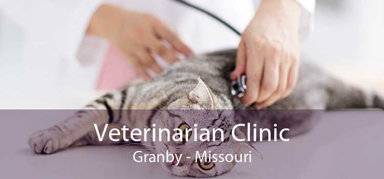 Veterinarian Clinic Granby - Missouri
