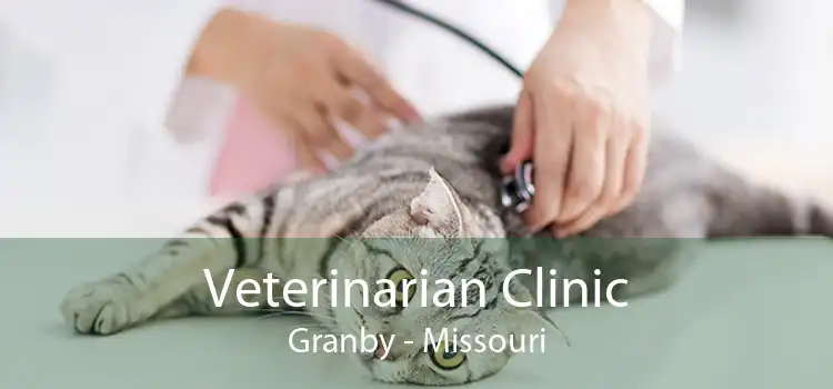 Veterinarian Clinic Granby - Missouri