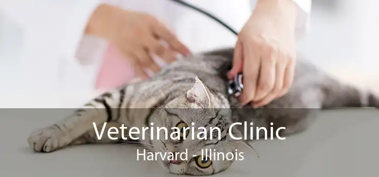 Veterinarian Clinic Harvard - Illinois