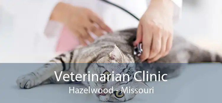 Veterinarian Clinic Hazelwood - Missouri