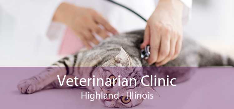 Veterinarian Clinic Highland - Illinois