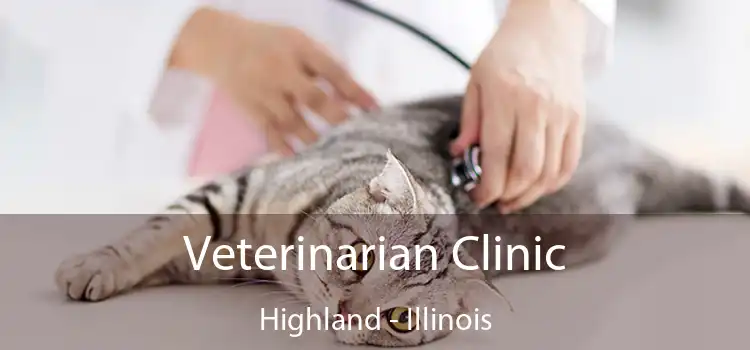 Veterinarian Clinic Highland - Illinois