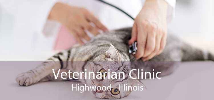 Veterinarian Clinic Highwood - Illinois