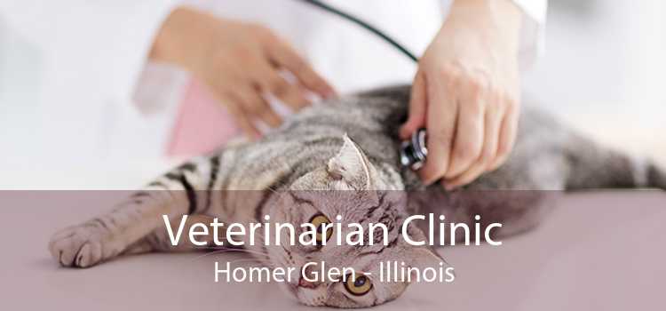 Veterinarian Clinic Homer Glen - Illinois