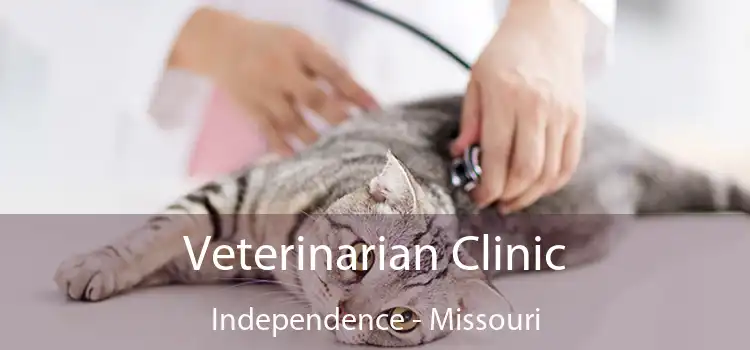 Veterinarian Clinic Independence - Missouri