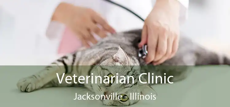 Veterinarian Clinic Jacksonville - Illinois