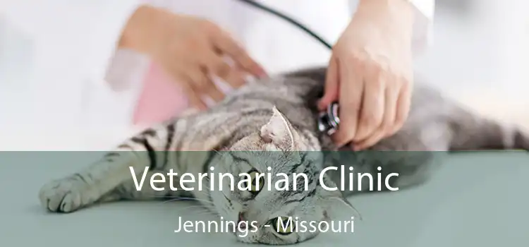 Veterinarian Clinic Jennings - Missouri