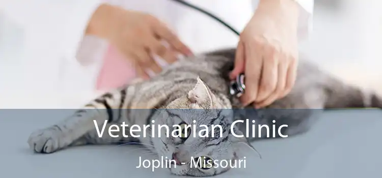 Veterinarian Clinic Joplin - Missouri