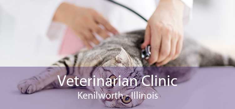 Veterinarian Clinic Kenilworth - Illinois