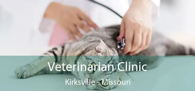 Veterinarian Clinic Kirksville - Missouri