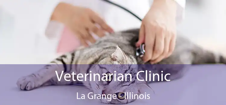 Veterinarian Clinic La Grange - Illinois