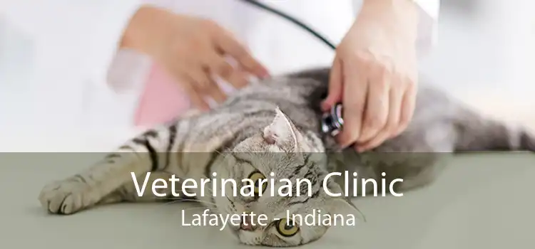 Veterinarian Clinic Lafayette - Indiana