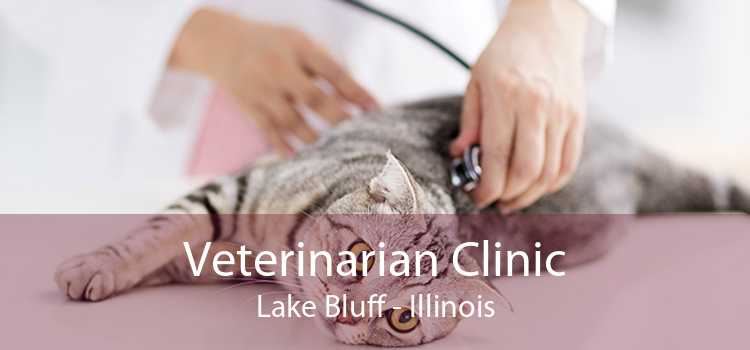 Veterinarian Clinic Lake Bluff - Illinois