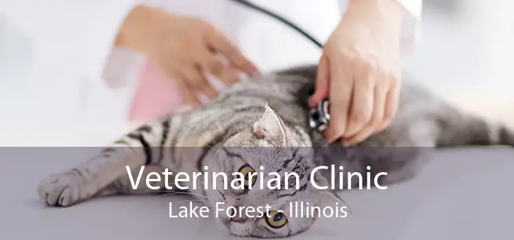 Veterinarian Clinic Lake Forest - Illinois