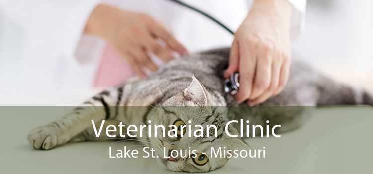Veterinarian Clinic Lake St. Louis - Missouri