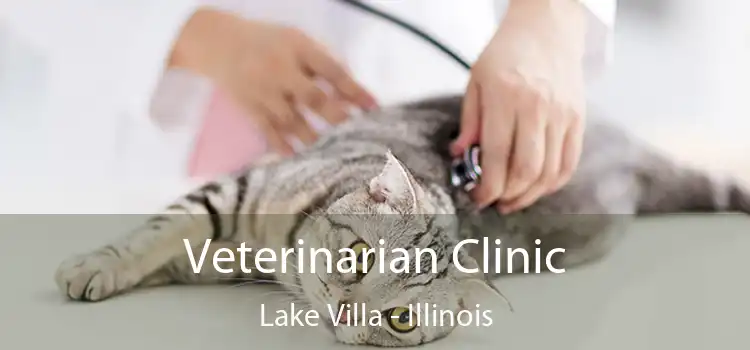 Veterinarian Clinic Lake Villa - Illinois