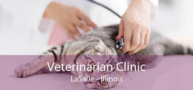 Veterinarian Clinic LaSalle - Illinois