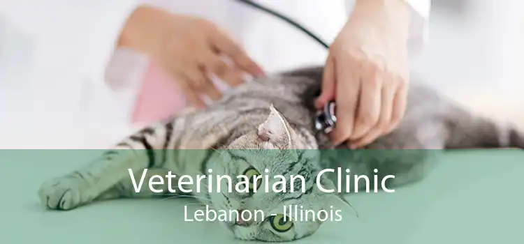 Veterinarian Clinic Lebanon - Illinois