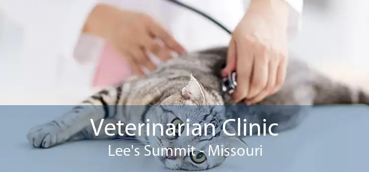 Veterinarian Clinic Lee's Summit - Missouri