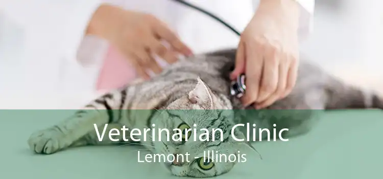 Veterinarian Clinic Lemont - Illinois