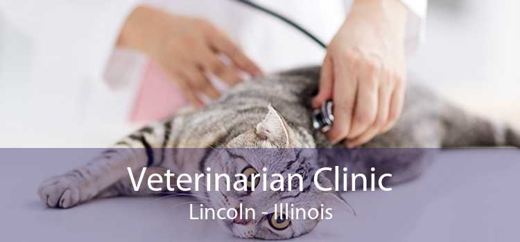 Veterinarian Clinic Lincoln - Illinois