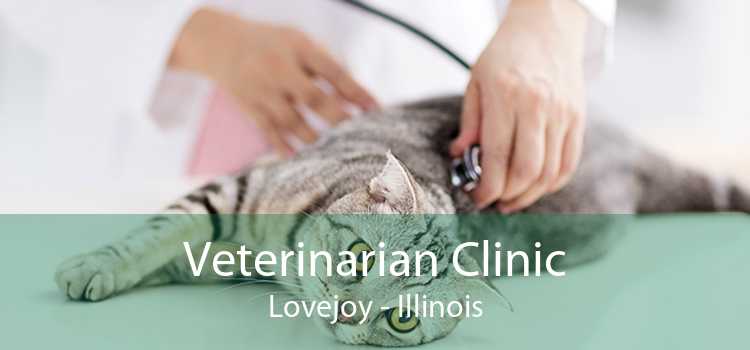 Veterinarian Clinic Lovejoy - Illinois