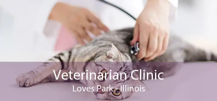 Veterinarian Clinic Loves Park - Illinois