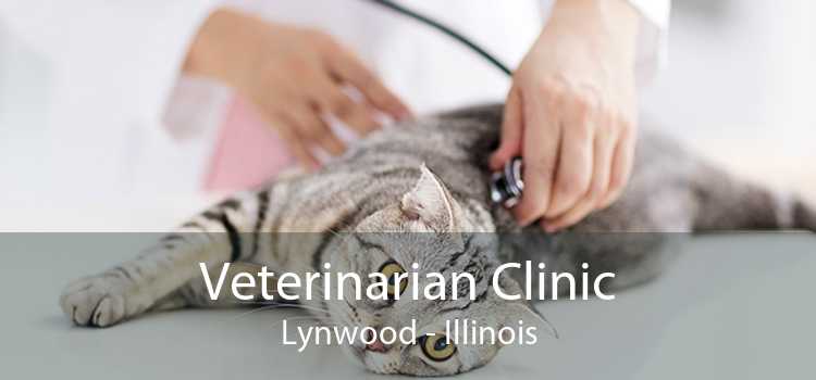 Veterinarian Clinic Lynwood - Illinois