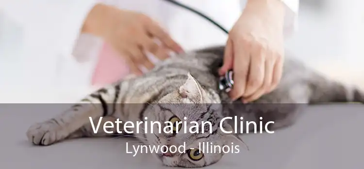 Veterinarian Clinic Lynwood - Illinois