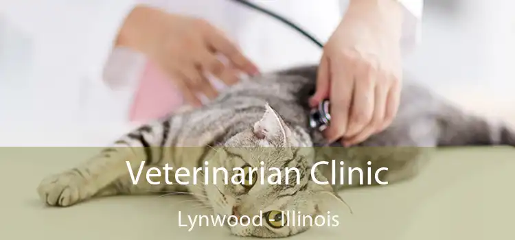 Veterinarian Clinic Lynwood - Illinois