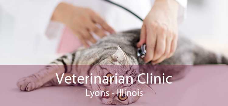 Veterinarian Clinic Lyons - Illinois