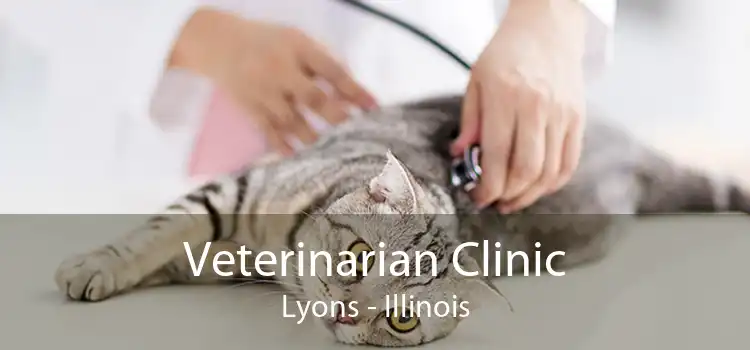 Veterinarian Clinic Lyons - Illinois