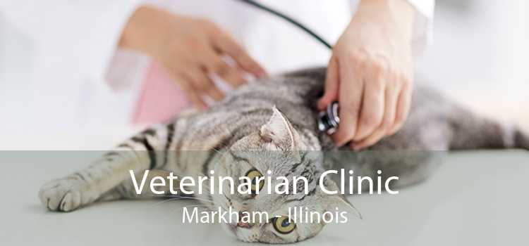 Veterinarian Clinic Markham - Illinois