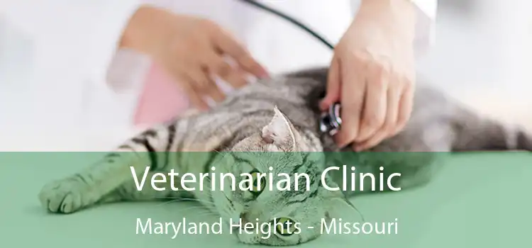 Veterinarian Clinic Maryland Heights - Missouri