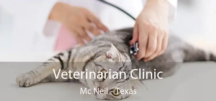 Veterinarian Clinic Mc Neil - Texas