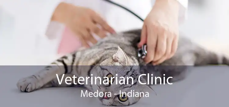 Veterinarian Clinic Medora - Indiana