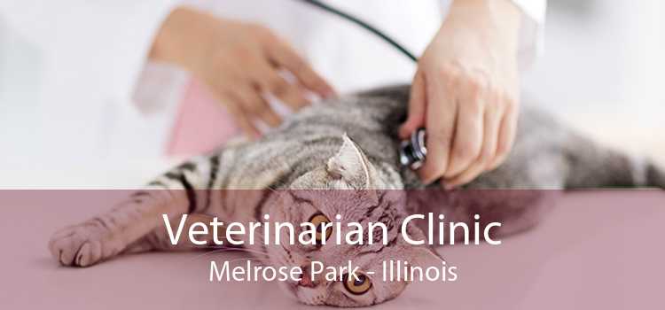Veterinarian Clinic Melrose Park - Illinois