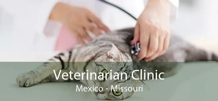 Veterinarian Clinic Mexico - Missouri