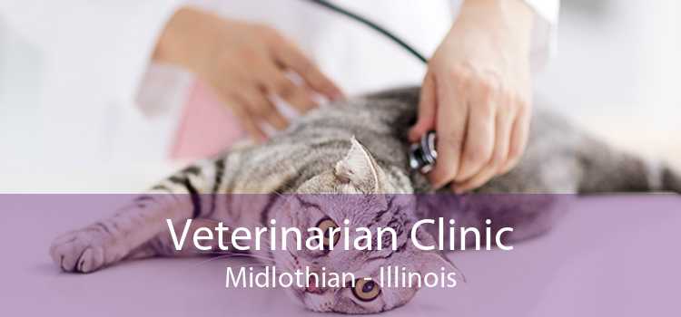 Veterinarian Clinic Midlothian - Illinois