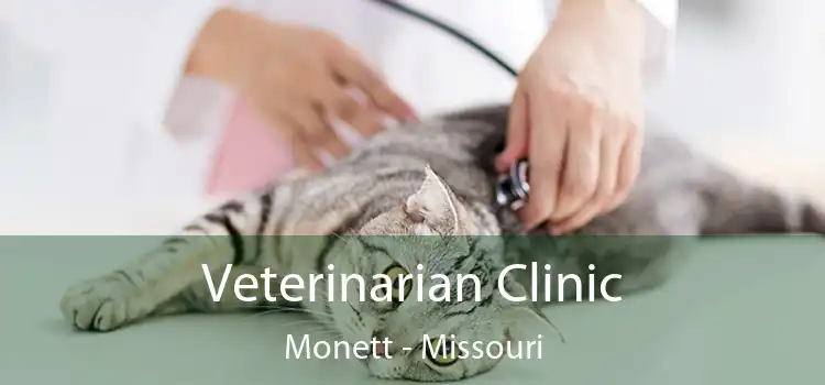 Veterinarian Clinic Monett - Missouri