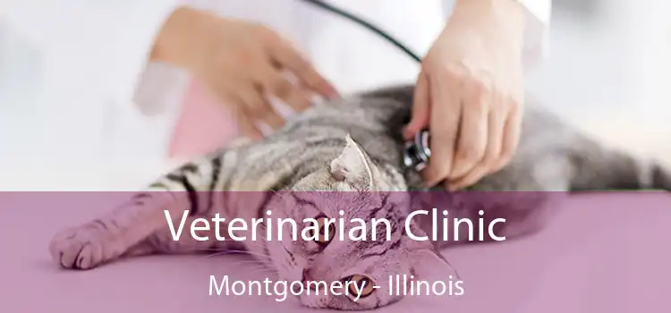 Veterinarian Clinic Montgomery - Illinois