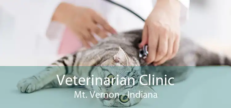 Veterinarian Clinic Mt. Vernon - Indiana