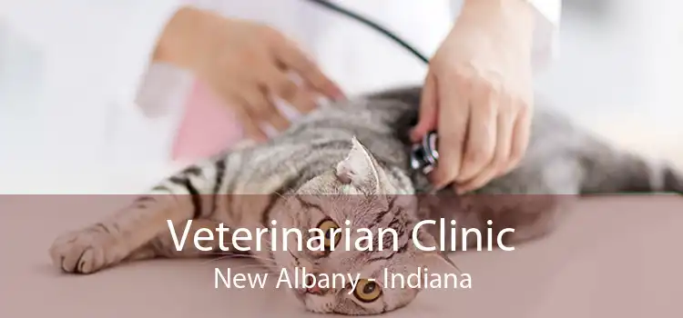 Veterinarian Clinic New Albany - Indiana