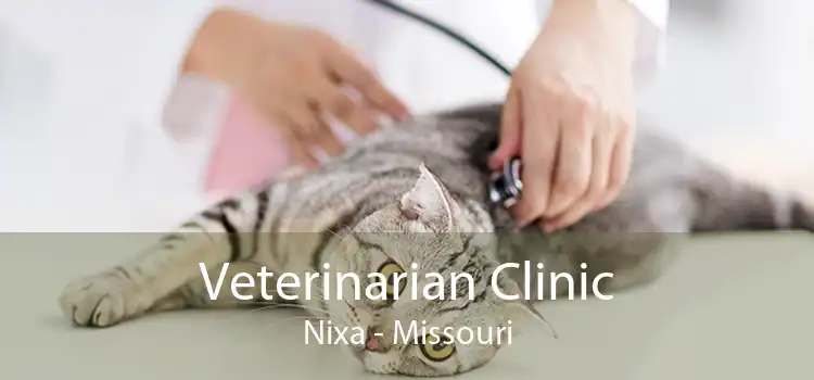 Veterinarian Clinic Nixa - Missouri