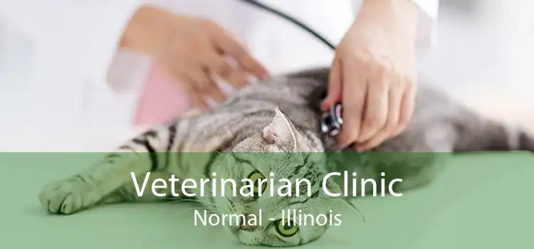 Veterinarian Clinic Normal - Illinois