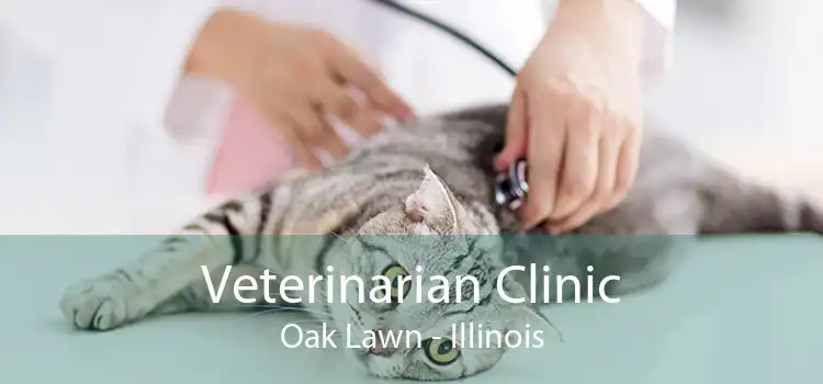 Veterinarian Clinic Oak Lawn - Illinois