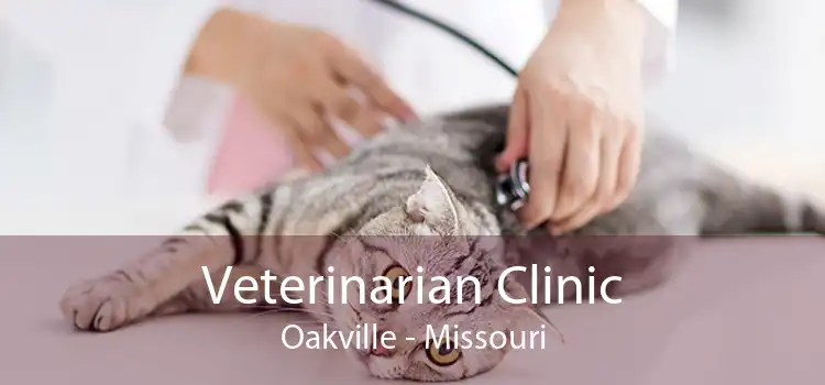 Veterinarian Clinic Oakville - Missouri