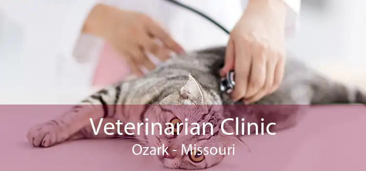 Veterinarian Clinic Ozark - Missouri