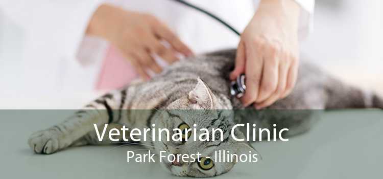 Veterinarian Clinic Park Forest - Illinois